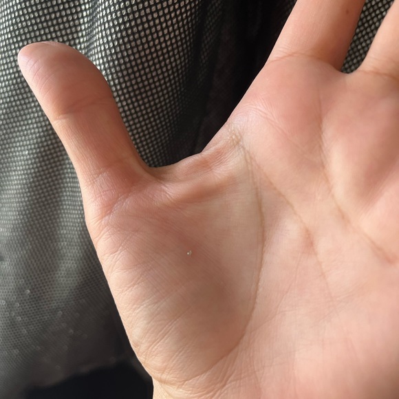 T H E O R Y 38 Mens Bomber Jacket - Picture 10 of 14